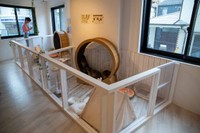 カフェというよりもマーモットに快適な環境を提供することを優先