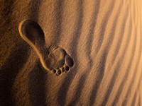 「おんなじ！」と声を揃え笑いあう。誰にも気づかれない私と母の秘密