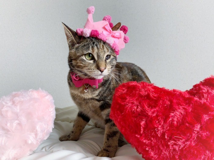 ママがピンクコーディネートしてくれたの