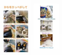 ファービー再生の手順。内臓…（笑）（提供：ballJPさん）