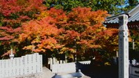 雲辺寺　10月29日