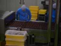 目視のチェックも重要（特別に許可をもらって撮影しています）