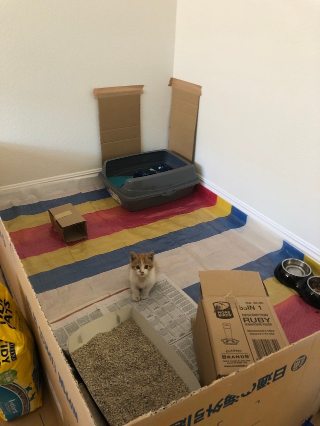 事前に勉強した要領でみそちゃんのスペースを作った