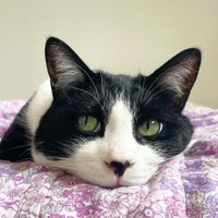 あざと可愛いみぃちゃん