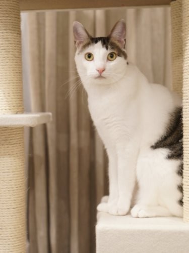 愛嬌たっぷりのまるもんたは「まるっとして”もんた”っぽいから」と晴美さんが命名