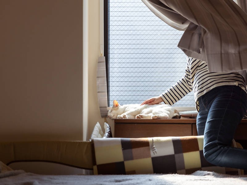 変わってココさん、出番です