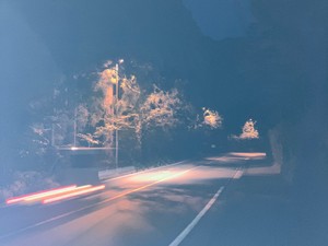 大人数の会話に感じる寂しさ。でも全然大丈夫な人間のふりをしている