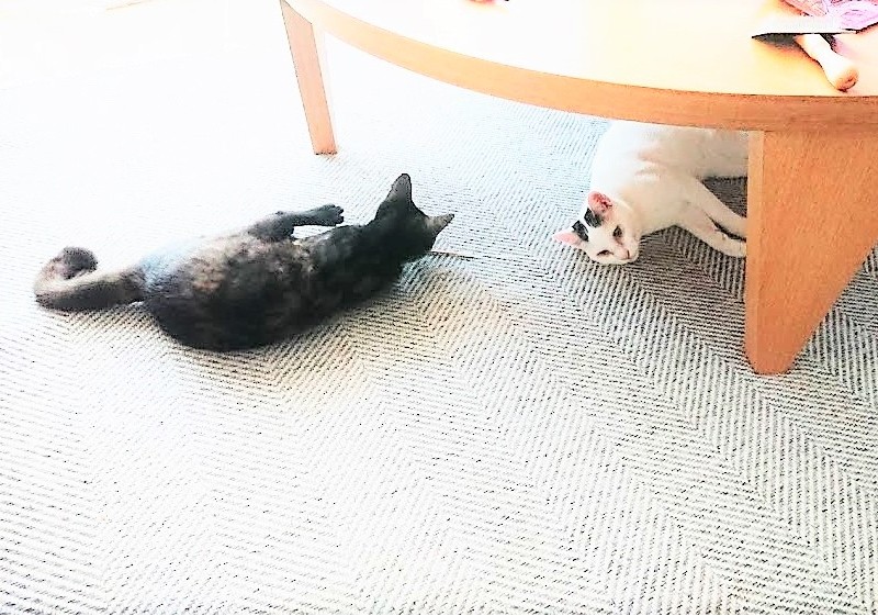 大運動会のあと（ユウコさん提供）