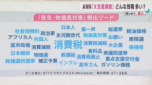 衆議院議員選挙　Ｘ投稿ワードを分析　ＡＮＮ