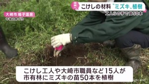 こけしの材料ミズキを植樹　伝統のこけしづくりを未来につなぐ　宮城・鳴子温泉