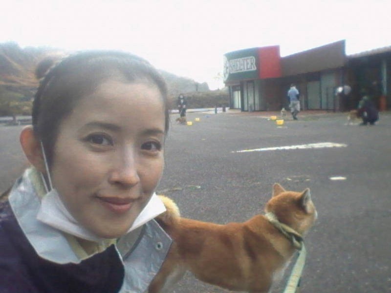 大型商業施設を改装して作られた第二シェルターには、大きな駐車場が。収容犬のお散歩にはもってこいの場所