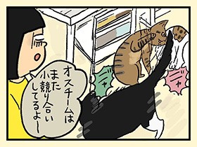 サイレントごはんキラー　やっぱ、猫じゃけぇ(12)