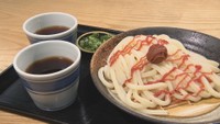 いけこうどん／梅ざる（小）550円