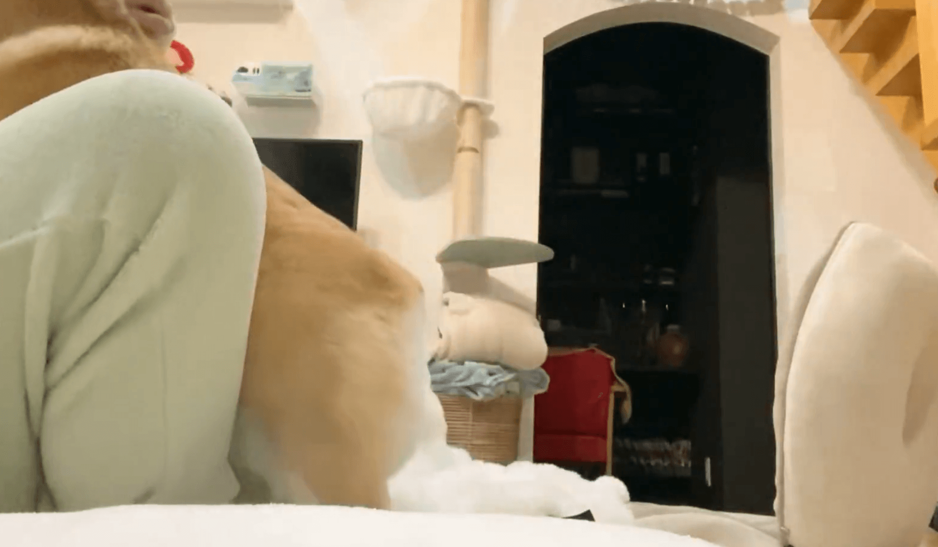 我慢できない！ママに突撃するあんずちゃん