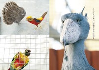 「ハシビロコウのふたば」より（写真：南幅俊輔）