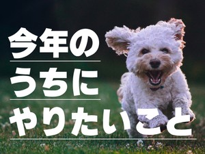 今年のうちにやりたいこと