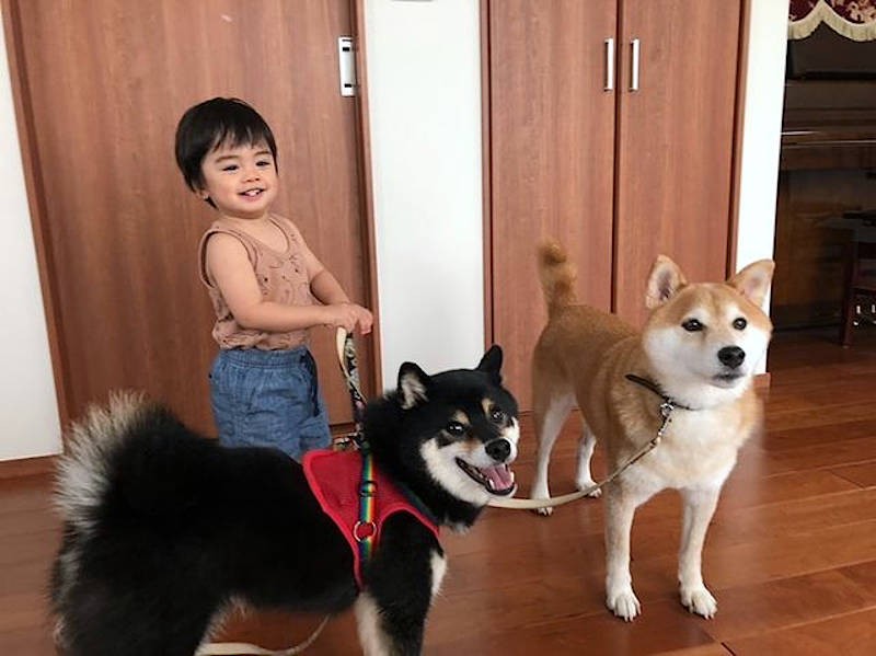 お孫さんとも仲良しのムクくんと向日葵ちゃん