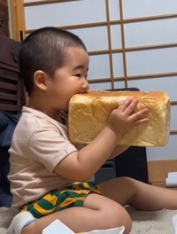 大きな大きな食パンをがぶっ！！（提供：＠babyzo_osaruさん）