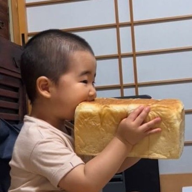 大きな大きな食パンをがぶっ！！（提供：＠babyzo_osaruさん）