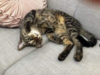 無防備な姿から、ふたりの信頼関係が伝わってくる