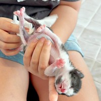 こはるちゃんの排泄ケアをする娘さん（画像提供：T&A&Fさん）