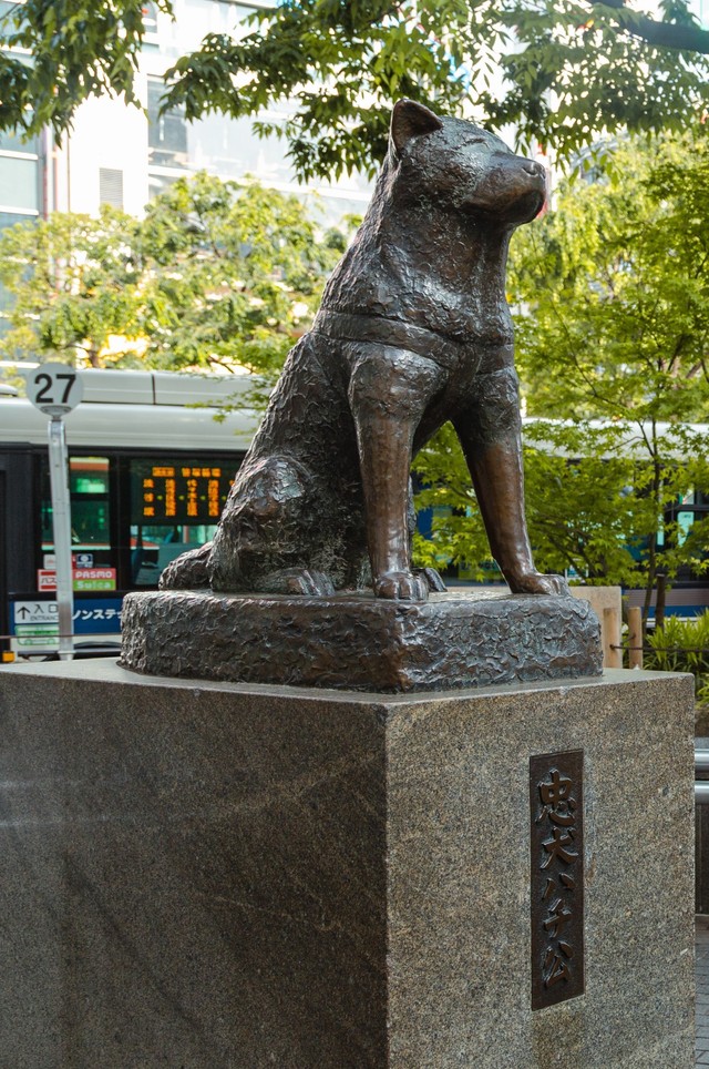 ※画像はイメージです(Takeru／stock.adobe.com)