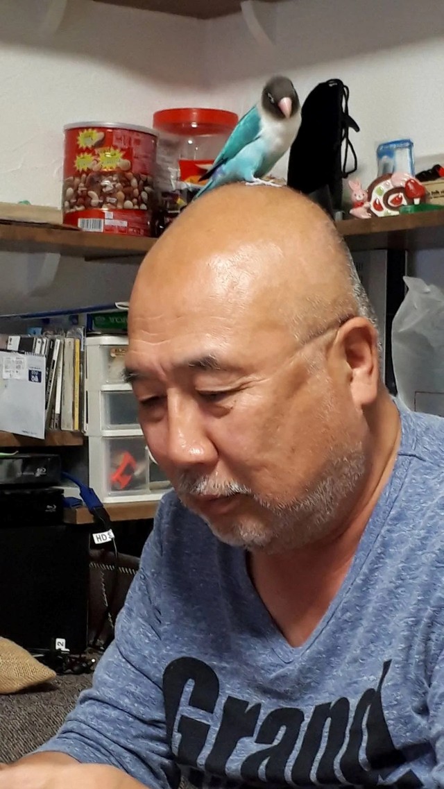 とっても見晴らしが良さそうです