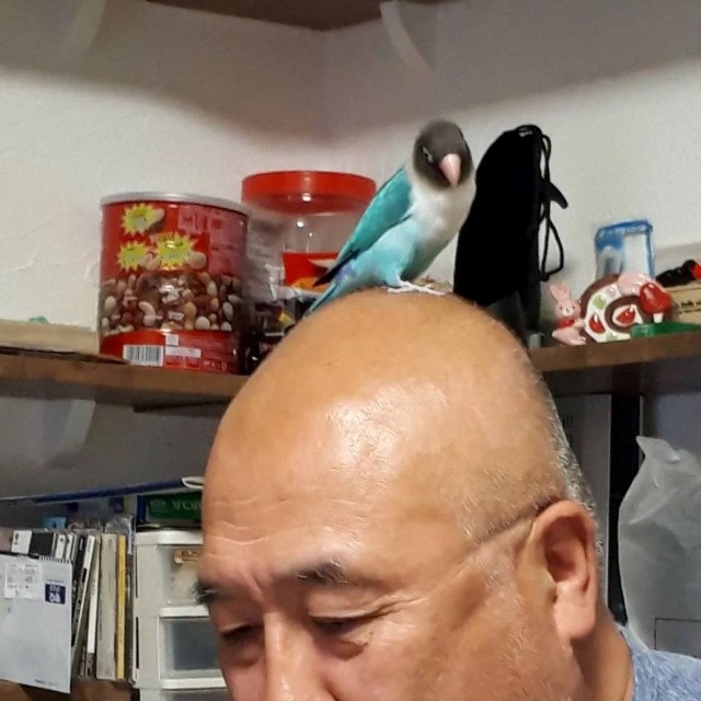 とっても見晴らしが良さそうです