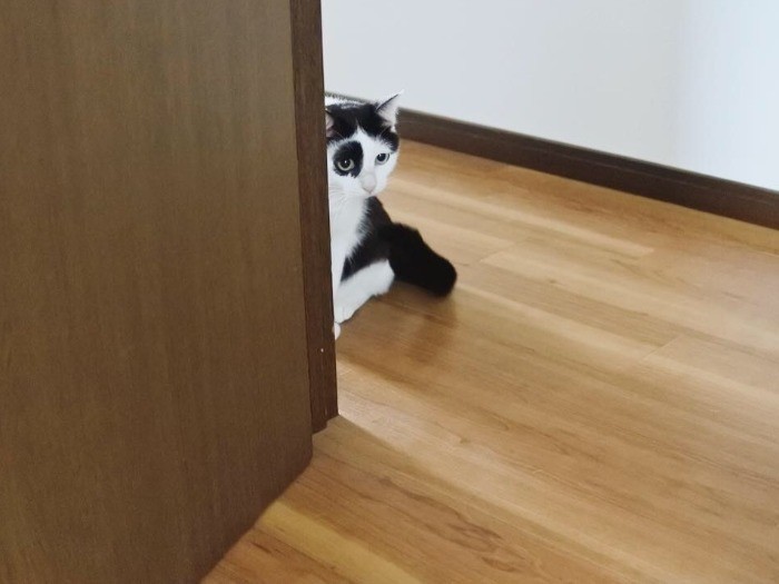 ドキドキの初対面（mimoeさん提供）