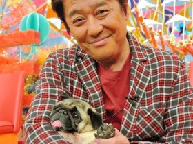 「困っていたらうちにおいで」　坂上忍さん愛犬13匹との暮らし