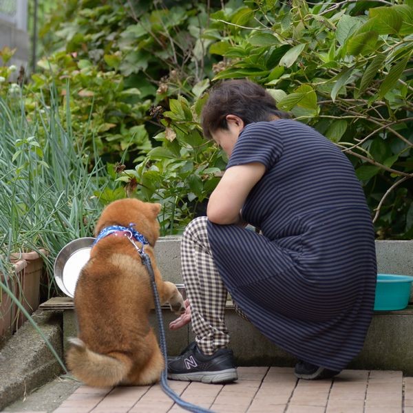 似た者夫婦、後ろ姿までそっくり（パイ インターナショナル）