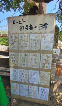 長年過ごした場所で、ケアに使用したものやカッピーとの日常を描いた4コマ漫画などを展示。8月18日まで（ふれあい広場で撮影）