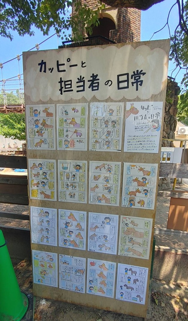長年過ごした場所で、ケアに使用したものやカッピーとの日常を描いた4コマ漫画などを展示。8月18日まで（ふれあい広場で撮影）
