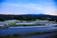 神子原棚田（提供：羽咋市 産業建設部 商工観光課）