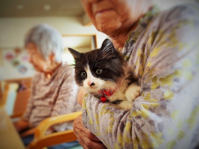 入居者に安心して抱かれる福丸。