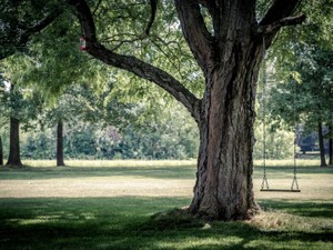 股間をぶつけて泣く男の子の痛みを、生理痛を知る私はわからなかった