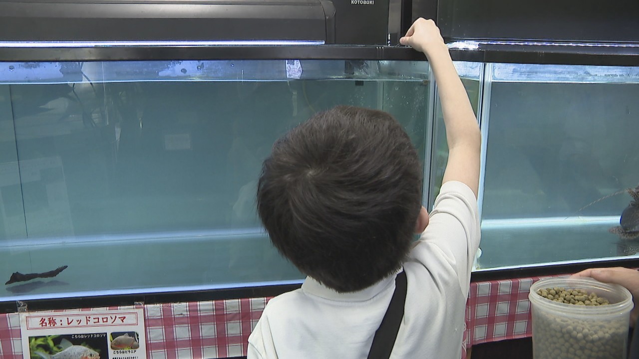 スッポンモドキと触れ合いも 高校の「ミニ水族館」を特別支援学校の児童が見学 香川県立多度津高校 | KSBニュース | KSB瀬戸内海放送