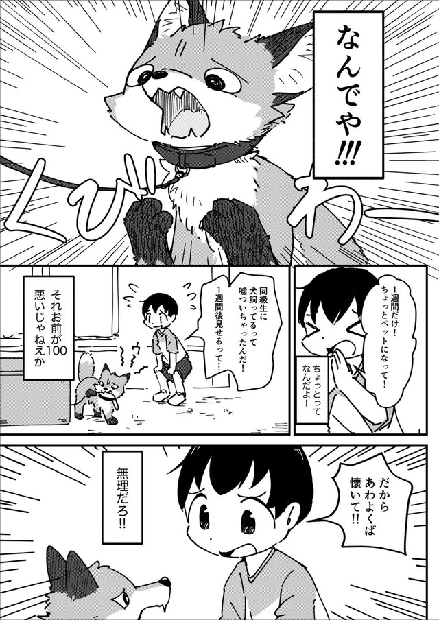 【漫画】『きつねいぬきつね』2（きつねねねさん提供）