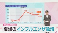 インフルエンザが早くも夏に流行　専門家に聞く