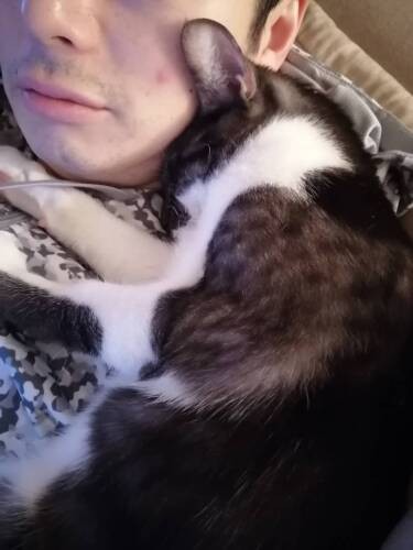 おじニャンに初添い寝。「おじニャンの右の口元におそろいのほくろがあるんだ」（愛子さん提供）