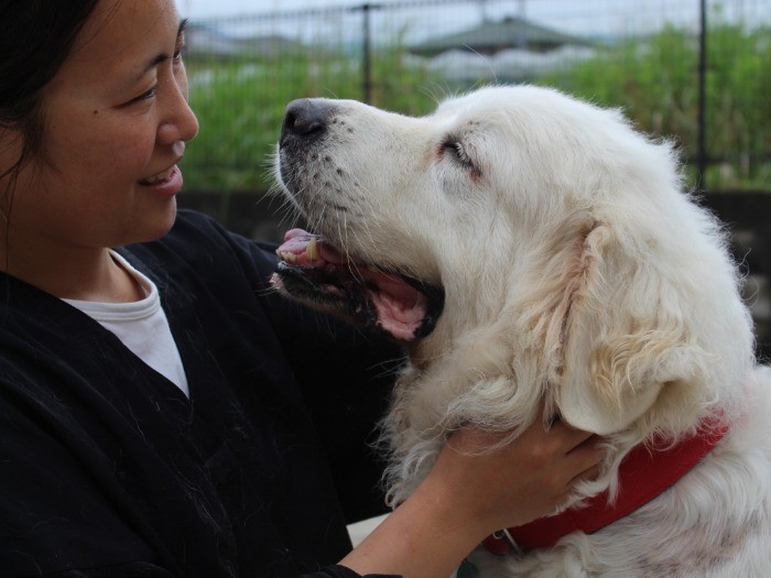 きっと幸せを掴むよ