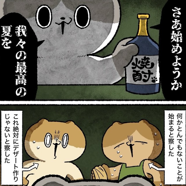 始まった夏（ゆう｜ノープロブレムキャットさん提供）