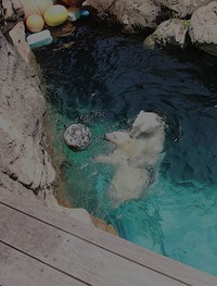 首根っこ咥えてます？