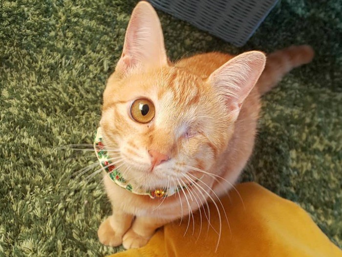 みちるを書いた詩が銅賞になったよ、と報告