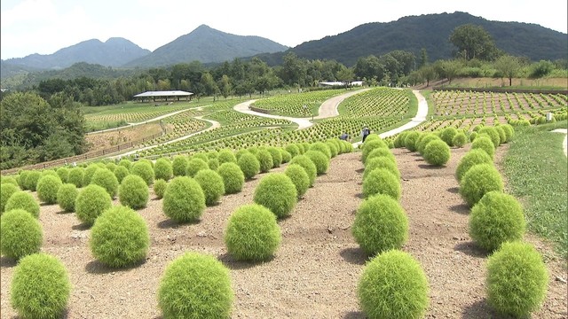 夏の昆虫教室など　国営讃岐まんのう公園がサマーフェスタ開催　香川・まんのう町