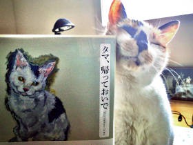 愛猫と過ごす「自粛」の時　かけがえのないものと教えてくれた本
