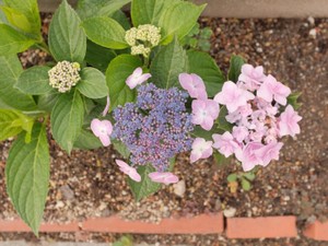 自分の意思でやりたい仕事をやっていたら、自信は自然とつくのかも