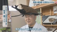 みんなでつくる自然史博物館・香川／松本慶一さん