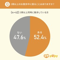 2頭以上のお散歩中に困ることはありますか？（提供画像）