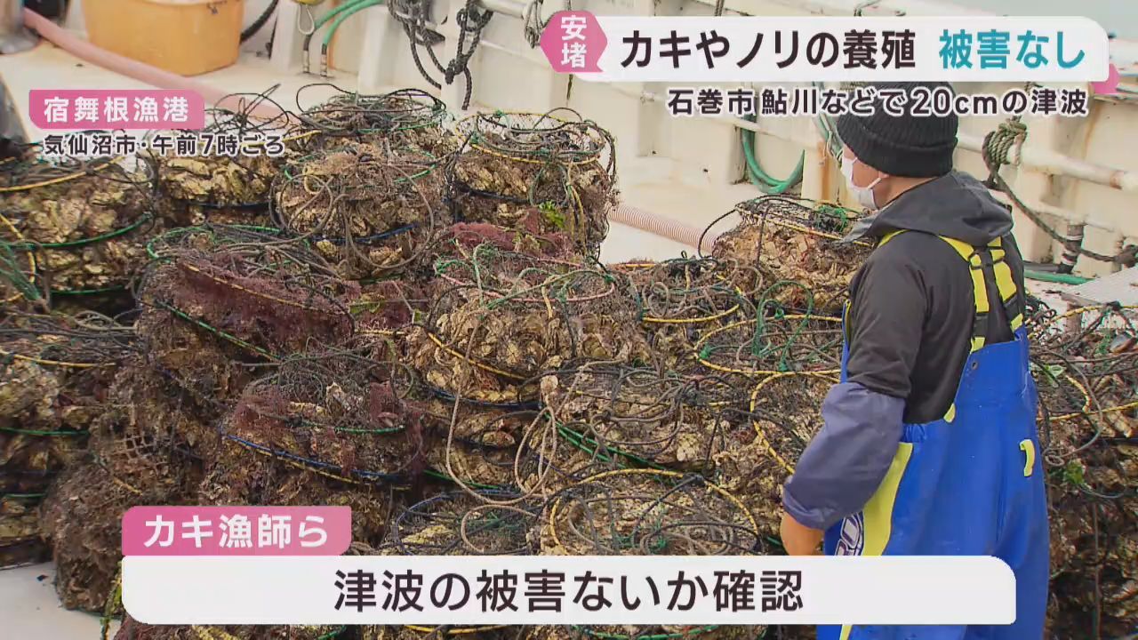 カキやノリ養殖漁師　津波被害の確認に追われる　宮城県では目立った被害は無し
